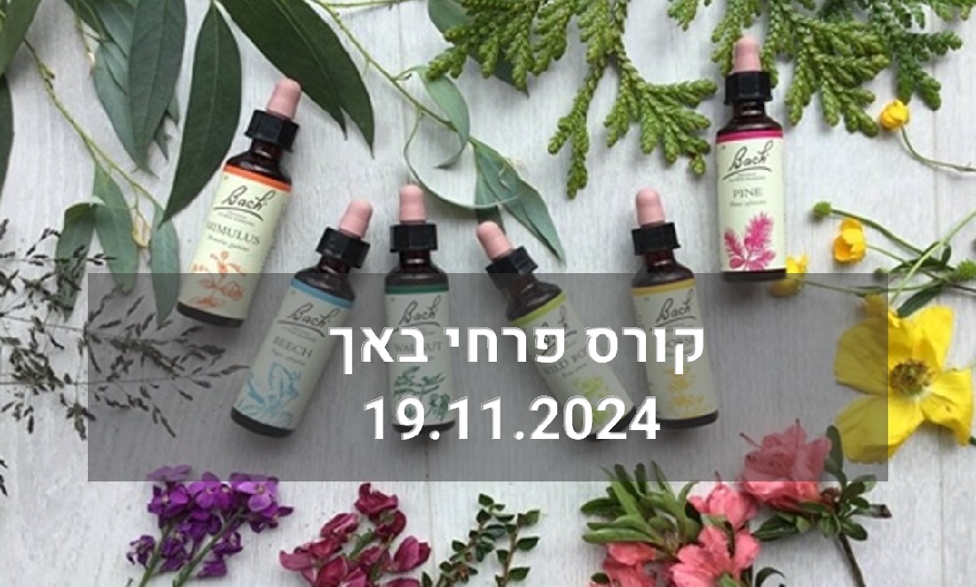 בואו להיות מומחים בתחום פרחי באך. קורס לימודים מקצועי וייחודי של פרחי באך המספקים איזון גופני ונפשי בתהליכי החיים לריפוי, צמיחה והתפתחות.